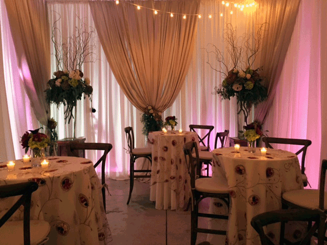 event decor and uplighting in columbus ohio at advantage events